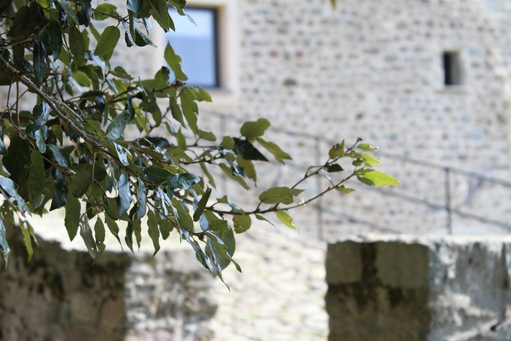 Al Castello Da Annamaria Guest House Beverino Exterior photo